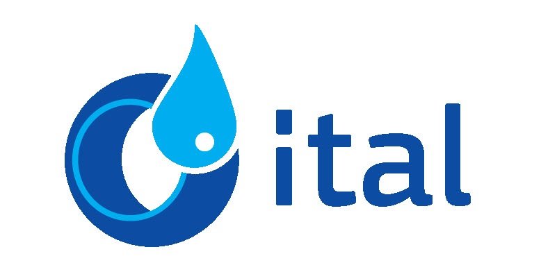 логотип ital