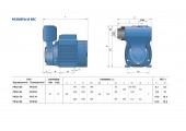 Вихревой насос РKSm 80 Pedrollo 