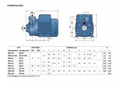Вихревой насос Рkm 200 Pedrollo