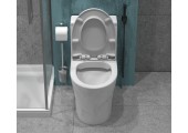 Унитаз-моноблок EVA GOLD SM9609 МРАМОР