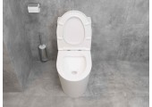 Унитаз-моноблок EVA GOLD 5003 безободковый, сиденье тонкое ДП, арматура (с гофрой и подводкой)