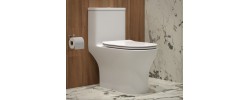 Унитаз-моноблок EVA GOLD SM9618 безободковый, сиденье тонкое ДП, арматура (с гофрой и подводкой)
