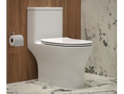 Унитаз-моноблок EVA GOLD SM9618 безободковый, сиденье тонкое ДП, арматура (с гофрой и подводкой)