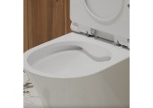 Унитаз-моноблок EVA GOLD TR1197 безободковый,сиденье тонкое ДП,арматура (с гофрой и подводкой)