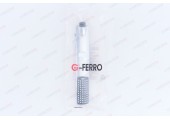 Лейка для душа 10 G-Ferro