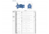 Центробежный насос поверхностный Fm 40/160С Pedrollo