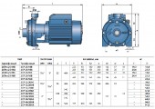 Многоступенчатый насос 2 CP 25/14A Pedrollo